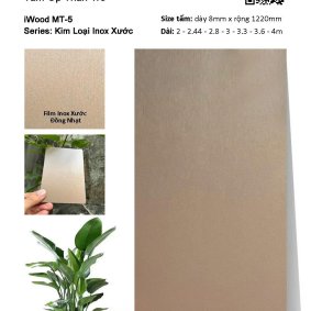 Tấm Ốp Than Tre Inox Xước MT-5