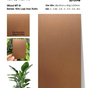 Tấm Ốp Than Tre Inox Xước MT-8