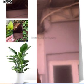 Tấm Ốp Than Tre Gương Sâm Panh