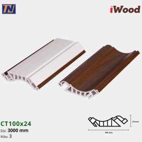 Nẹp cổ trần iWood CT100x24-3