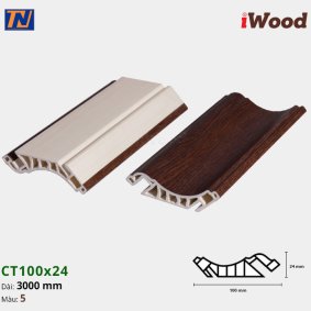 Nẹp cổ trần iWood CT100x24-5