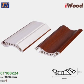 Nẹp cổ trần iWood CT100x24-6