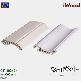 Nẹp cổ trần iWood CT100x24-9