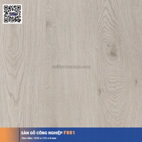 Sàn gỗ công nghiệp F881