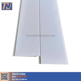 Tấm Ốp Phẳng T100-TN01