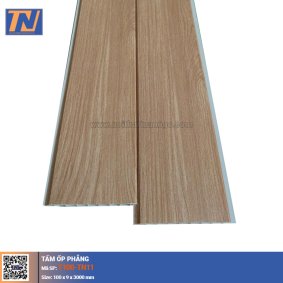 Tấm Ốp Phẳng T100-TN11