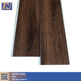 Tấm Ốp Phẳng T100-TN13
