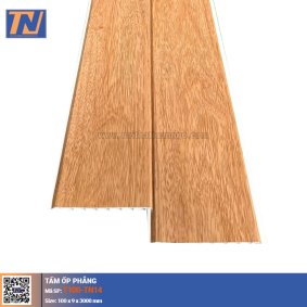 Tấm Ốp Phẳng T100-TN14