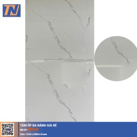 Tấm ốp đa năng NP638