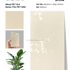 Tấm ốp than tre Film PET iS-5