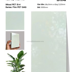 Tấm ốp than tre Film PET iS-4