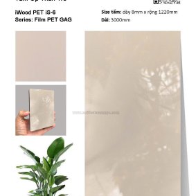 Tấm ốp than tre Film PET iS-6