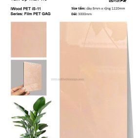 Tấm ốp than tre Film PET iS-11