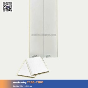 Tấm Ốp Phẳng T100-TN01