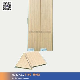 Tấm Ốp Phẳng T100-TN02