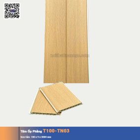 Tấm Ốp Phẳng T100-TN03