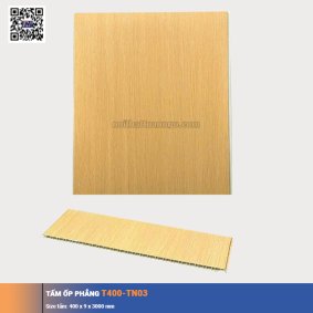 Tấm ốp phẳng T400-TN03