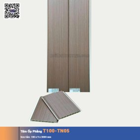 Tấm Ốp Phẳng T100-TN05