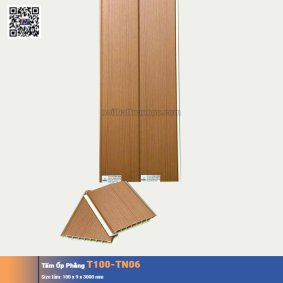 Tấm Ốp Phẳng T100-TN06