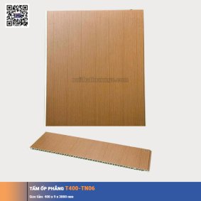 Tấm ốp phẳng T400-TN06