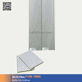 Tấm Ốp Phẳng T100-TN09