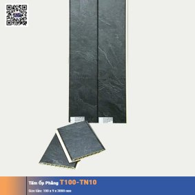 Tấm Ốp Phẳng T100-TN10