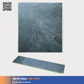 Tấm ốp phẳng T400-TN10