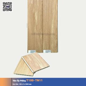 Tấm Ốp Phẳng T100-TN11