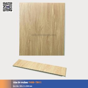 Tấm ốp phẳng T400-TN11