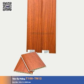 Tấm Ốp Phẳng T100-TN12