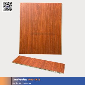 Tấm ốp phẳng T400-TN12