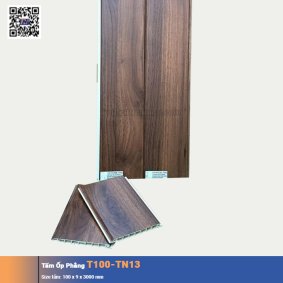 Tấm Ốp Phẳng T100-TN13