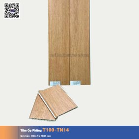 Tấm Ốp Phẳng T100-TN14