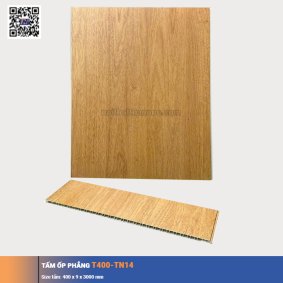 Tấm ốp phẳng T400-TN14